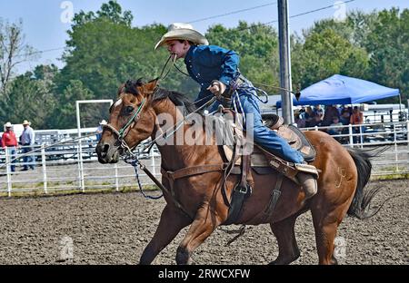 EMPORIA, KANSAS – 17. SEPTEMBER 2023 Stone Newell aus Oskaloosa reitet mit seinem Pferd und Lassoe das Kalb auf den Boden und bindet dann die Beine zusammen Stockfoto