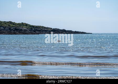 Solway-Küste bei Kirkudbright, Dumfries und Galloway, Schottland Stockfoto