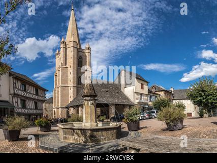 Vue Panoramique de l'église saint Martin et de la halle Stockfoto