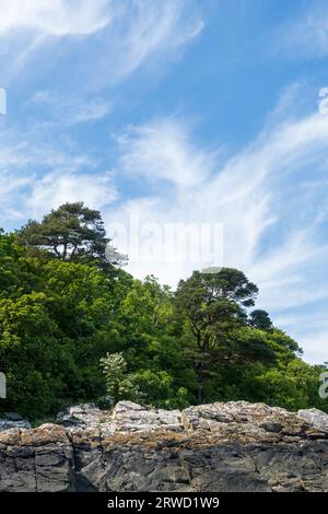 Solway-Küste bei Kirkudbright, Dumfries und Galloway, Schottland Stockfoto