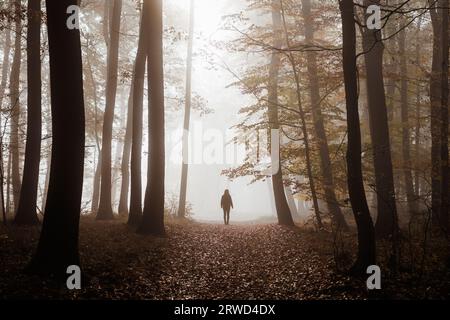 Die Silhouette der Frau geht auf einem Wanderweg in dunklen Nebelwald allein. Konzept von Einsamkeit und Einsamkeit Stockfoto