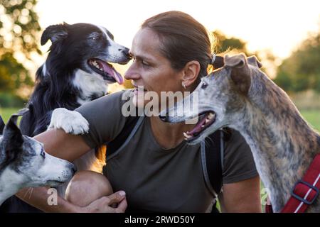 Glückliche Frau spielt mit adoptierten Hunden aus Tierheimen Stockfoto