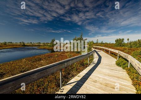 Miscou Island interpretierende Moor Boardwalk Miscou, New Brunswick, CA Stockfoto