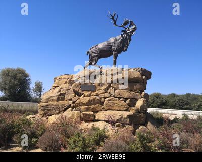 Royal Newfoundland Regiment Monument in Gallipoli - Trail of the Caribou, Canakkale Stockfoto