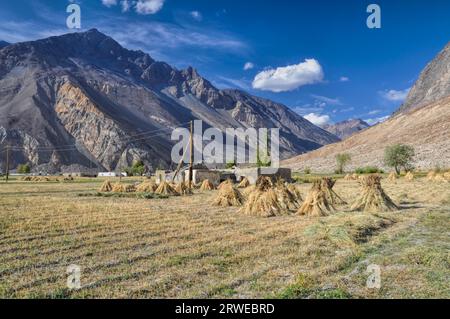 Landwirtschaft im Pamirgebirge in Tadschikistan Stockfoto