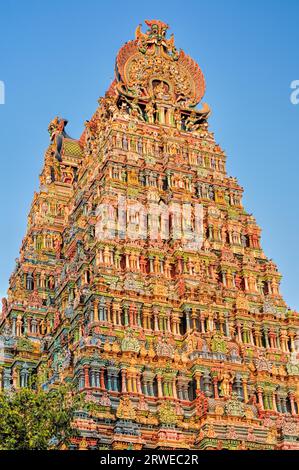 Bunte Turm von Meenakshi Amman Tempel in Indien Stockfoto