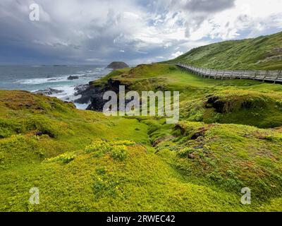 Die Promenade entlang der Nobbies auf Phillip Island, Victoria, Australien, die früher als Seal Rocks bekannt war. Stockfoto