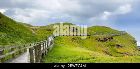 Die Promenade entlang der Nobbies auf Phillip Island, Victoria, Australien, die früher als Seal Rocks bekannt war. Stockfoto