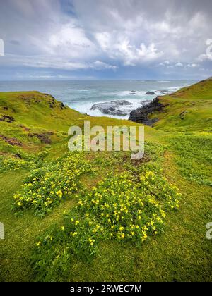 Von der Promenade, die früher als Seal Rocks bekannt war, hat man einen atemberaubenden Blick auf die Nobbies auf Phillip Island, Victoria, Australien. Stockfoto