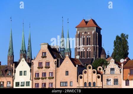 Alte Stadthäuser mit Kirche der Heiligen Jungfrau Maria (Polnisch: Bazylika Mariacka) im Hintergrund in Gdansk (Danzig), Polen Stockfoto