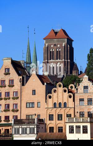 Alte Stadthäuser mit Kirche der Heiligen Jungfrau Maria (Polnisch: Bazylika Mariacka) im Hintergrund in Gdansk (Danzig), Polen Stockfoto