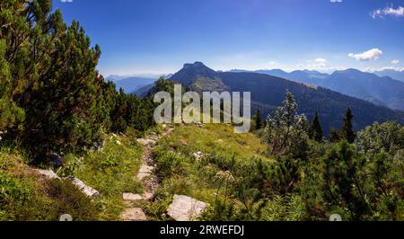 Wanderweg von Schlenken nach Schmittenstein, Osterhorngruppe, Salzkammergut, Tennengau, Land Salzburg, Österreich Stockfoto