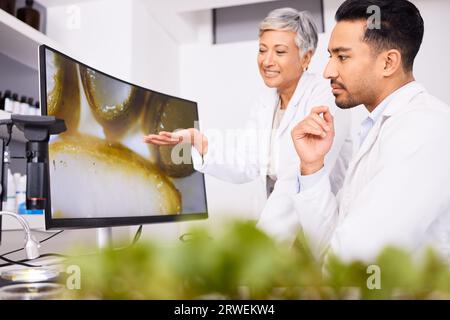 Teamwork, Screening oder Wissenschaftler mit Anlagen für Forschung, Labortests oder Innovationen für Agrarstudien. Wissenschaft, Mentor oder Blatt auf dem Monitor für Natur Stockfoto