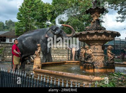 Ein zeremonielles Elefant spritzt Wasser aus einem Brunnen über seinen Körper neben dem Tempel des Heiligen Zahns bei Kandy in Sri Lanka. Stockfoto