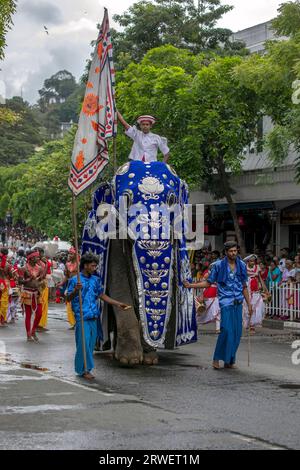 Ein Tempelpfleger, der auf einer zeremoniellen Elefantenparade entlang einer Straße während des Tages Perahera.at Kandy in Sri Lanka reitet. Stockfoto