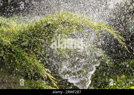 Moderne Geräte des Bewässerungsgartens. Bewässerungssystem - Technik der Bewässerung im Garten. Rasensprenger sprühen Wasser über Grün Stockfoto