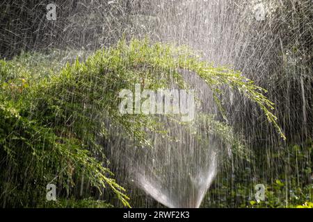 Moderne Geräte des Bewässerungsgartens. Bewässerungssystem - Technik der Bewässerung im Garten. Rasensprenger sprühen Wasser über Grün Stockfoto