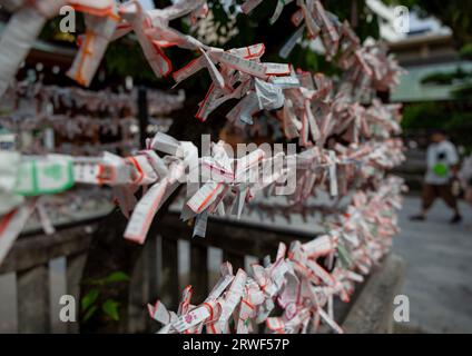 Oomikuji Japanisches Glückspapier in Kushida-jinja shinto Schrein, Kyushu Region, Fukuoka, Japan Stockfoto