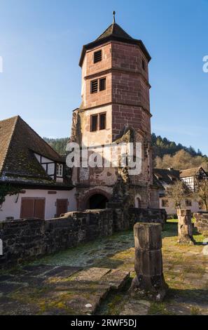 Das Kloster Hirsau, früher Kloster Hirschau im Schwarzwald im Frühjahr Stockfoto