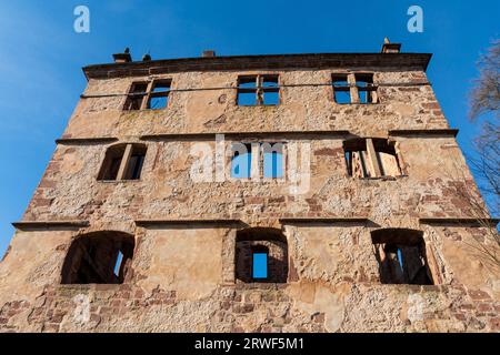 Das Kloster Hirsau, früher Kloster Hirschau im Schwarzwald im Frühjahr Stockfoto