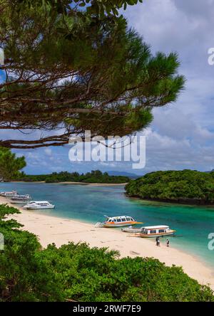 Glasbodenboote in der tropischen Lagune mit klarem blauem Wasser in der Kabira-Bucht, Yaeyama-Inseln, Ishigaki, Japan Stockfoto