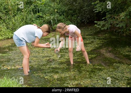 Zwei junge Mädchen, Schwestern, spielen in einem Bach und fangen Insekten und Wanzen in einer Flasche oder einem Glas Stockfoto