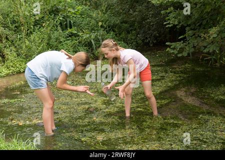 Zwei junge Mädchen, Schwestern, spielen in einem Bach und fangen Insekten und Wanzen in einer Flasche oder einem Glas Stockfoto