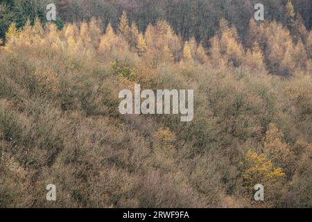 Ein Blick vom Ragleth Hill, wenn die Winterbedingungen im Spätherbst ankommen, Little Stretton, Shropshire, Großbritannien Stockfoto