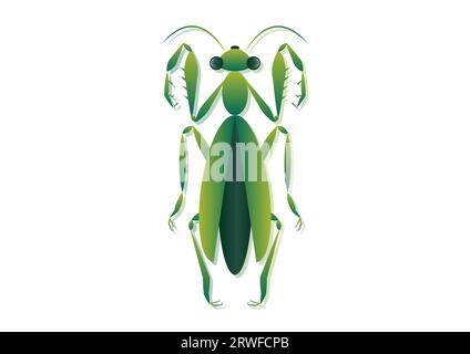 Betender Mantis Vektor Art. Grüne Grasshopper Clipart isoliert auf weißem Hintergrund Stock Vektor