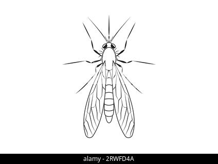 Schwarz-weiß-Mosquito Clipart. Malseite eines Moskitos Stock Vektor