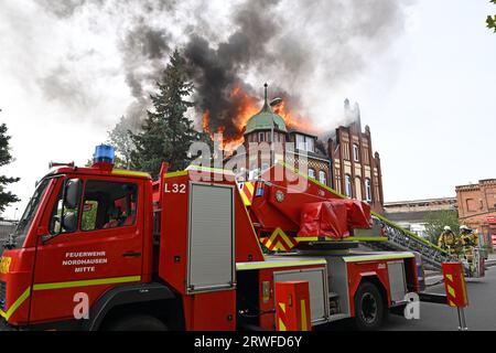 Nordhausen, Deutschland. September 2023. PRODUKTION - 19. September 2023, Thüringen, Nordhausen: Die Dachkonstruktion eines Gebäudes brennt in der Rothenburgstraße in Nordhausen. Die Feuerwehr versucht, das Feuer zu löschen. Foto: Martin Schutt/dpa Credit: dpa Picture Alliance/Alamy Live News Stockfoto