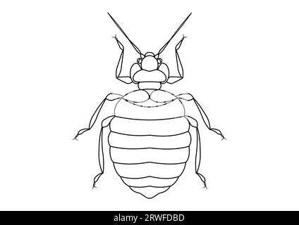 Schwarz-weiß Bett Bug Clipart. Färbung Seite des Bettwanzen Stock Vektor