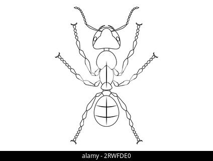 Schwarz-weiß-Ant Clipart. Malseite von Ant Stock Vektor