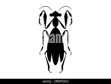 Schwarz-weiß-Silhouette des betenden Mantis im flachen Stil. Vektor-Grasshopper in Schwarz Stock Vektor