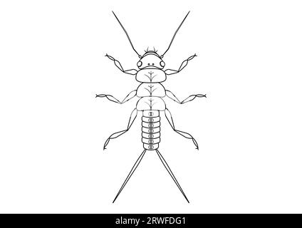 Schwarz-weiß Stonefly Nymphe Insect Clipart Vector isoliert auf weißem Hintergrund. Malseite eines Stonefly Nymph Insect Stock Vektor
