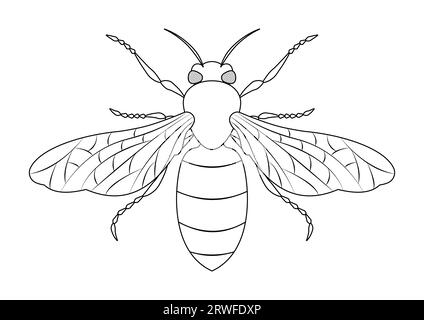 Schwarz-weiß Honeybee Vektor Clipart. Malseite einer Honigbiene Stock Vektor