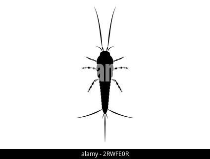 Schwarz-weiß Thysanura Insect Vector Clipart Stock Vektor