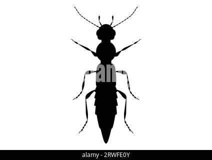 Schwarz-weiß Paederus Käfer Clipart Vektor isoliert auf weißem Hintergrund Stock Vektor