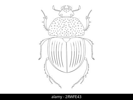 Schwarz-weiß Trypocopris vernalis Green Beetle Clipart. Malseite von Trypocopris vernalis Green Beetle Stock Vektor