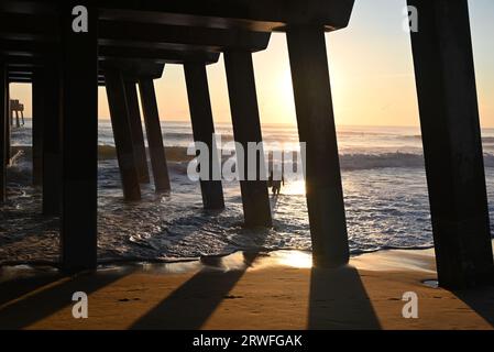 Die Sonne geht zwischen den Stützen unter dem Jennette's Pier auf, während ein Surfer in Nags Head, North Carolina, zum Wasser fährt. Stockfoto