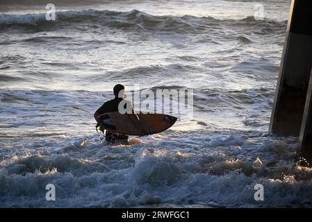 Ein Surfer geht am frühen Morgen am Jennette's Pier in Nags Head, North Carolina, ins Wasser. Stockfoto