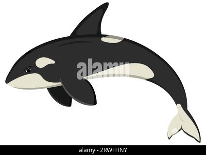 Ocean Orca-Zeichentrickfigur. Vektorillustration des Killerwals isoliert auf weißem Hintergrund Stock Vektor