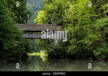 Holzbrücke in La Gruyère, Freiburg, Schweiz Stockfoto