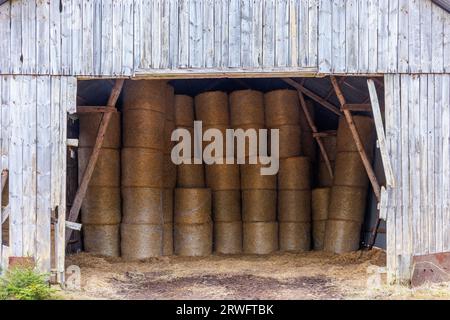 Stapelbare Rundballen, die in einem alten Stall gelagert werden Stockfoto