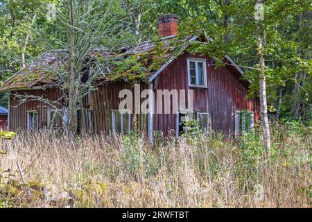 Verlassenes Haus am Rande des Waldes Stockfoto