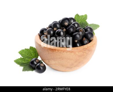 Reife schwarze Johannisbeeren und Blätter isoliert auf weiß Stockfoto