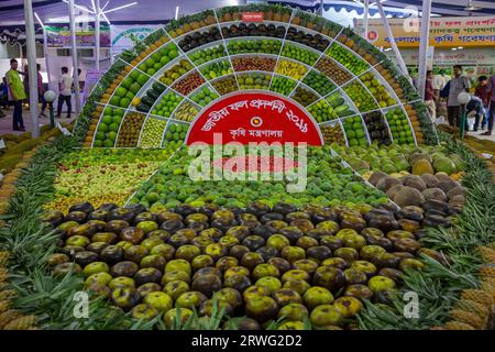 Verschiedene Obstsorten auf dem National Fruits Festival, das vom landwirtschaftsministerium in Dhaka, Bangladesch, organisiert wird. Stockfoto
