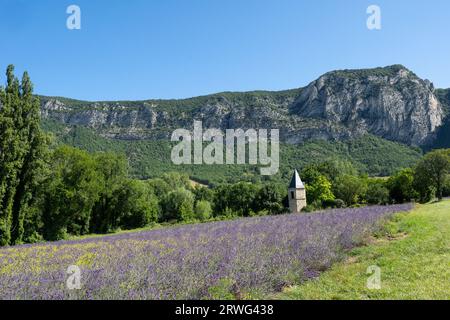 Lavendelfeld in der Nähe der Stadt Saou mit einem kleinen Turm. Europa, Frankreich, Drôme Stockfoto