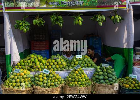 Verschiedene Mangoarten auf dem National Fruits Festival, das vom landwirtschaftsministerium in Dhaka, Bangladesch, organisiert wird. Stockfoto
