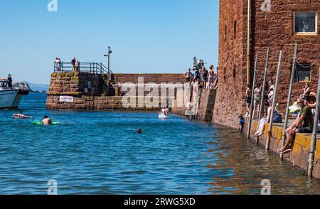 Kinder, die bei heißem Sommerwetter vom Kai ins Meer springen, North Berwick Harbour, East Lothian, Schottland, Großbritannien Stockfoto